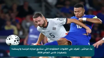 بث مباشر.. تعرف على القنوات المفتوحة التي ستذيع مباراة فرنسا وإيسلندا بتصفيات كأس العالم 2026